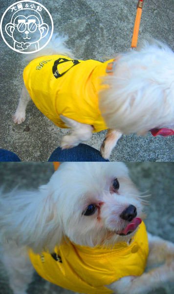 慈音休閒農莊：作伙來企投【台北文山･慈音休閒農莊】賞金針花來忘憂變喜悅