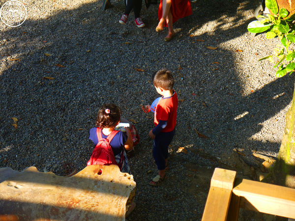 慈音休閒農莊：作伙來企投【台北文山･慈音休閒農莊】賞金針花來忘憂變喜悅
