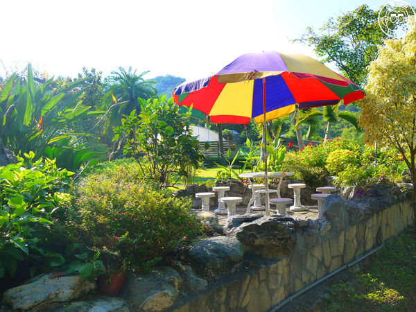 慈音休閒農莊：作伙來企投【台北文山･慈音休閒農莊】賞金針花來忘憂變喜悅