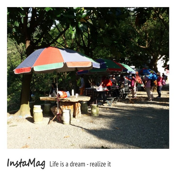 慈音休閒農莊：【台北景點】金針花一日美人&隱身大台北木柵的秘境~慈音休閒農莊