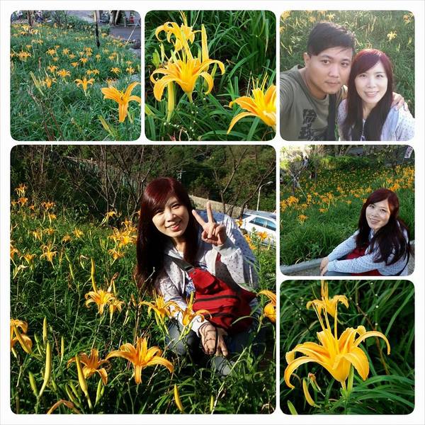 慈音休閒農莊：【台北景點】金針花一日美人&隱身大台北木柵的秘境~慈音休閒農莊