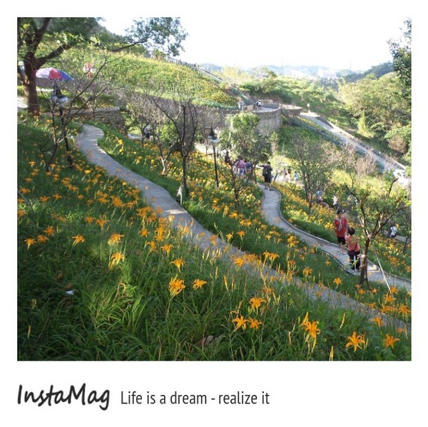 慈音休閒農莊：【台北景點】金針花一日美人&隱身大台北木柵的秘境~慈音休閒農莊