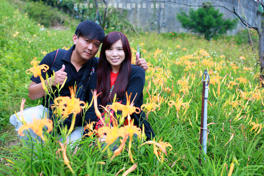 2016.09.25~台北木柵~文山區老泉里~慈音山莊~金針花