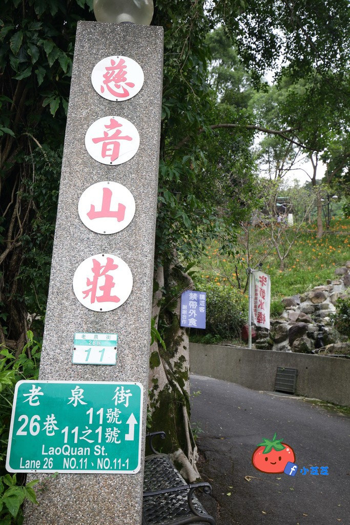 台北金針花 木柵 慈音山莊農場