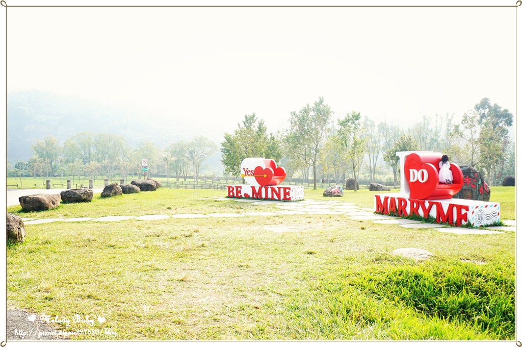 阿里山18號愛情絲路 (15).JPG