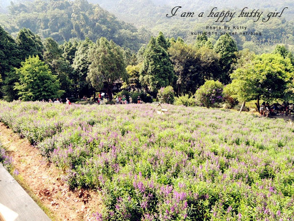 2014-8-24薰衣草森林 (45).jpg