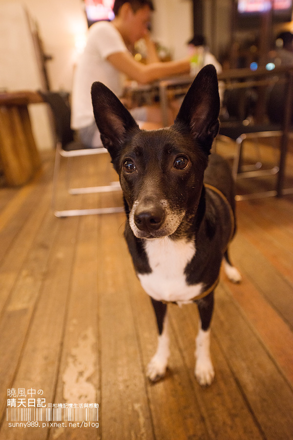 The Soup 哈湯:【喀好料】時尚自在人文咖啡館 The soup 哈湯