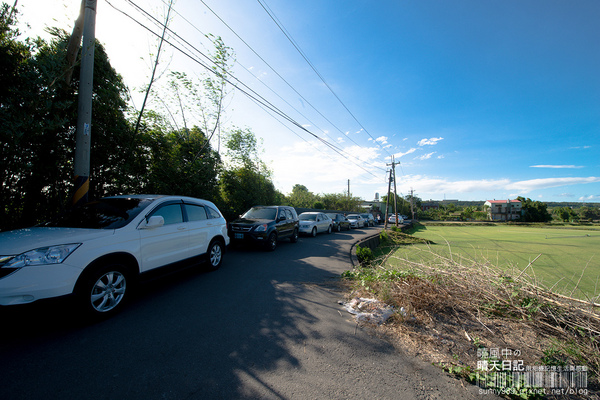 中新里韭菜花田：【趴趴走】遇見本季最後的浪漫--大溪韮菜花田