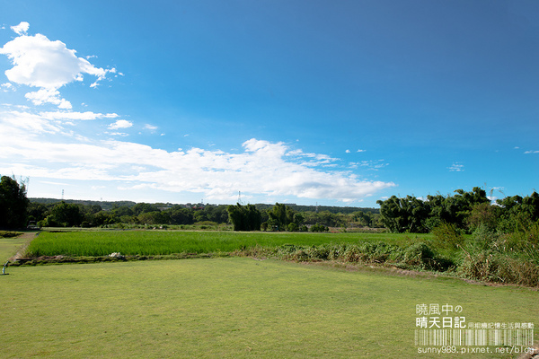中新里韭菜花田：【趴趴走】遇見本季最後的浪漫--大溪韮菜花田