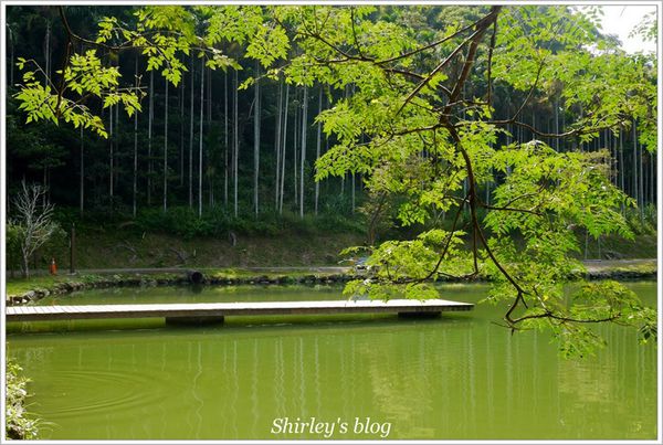 確幸莊園：新店‧確幸莊園