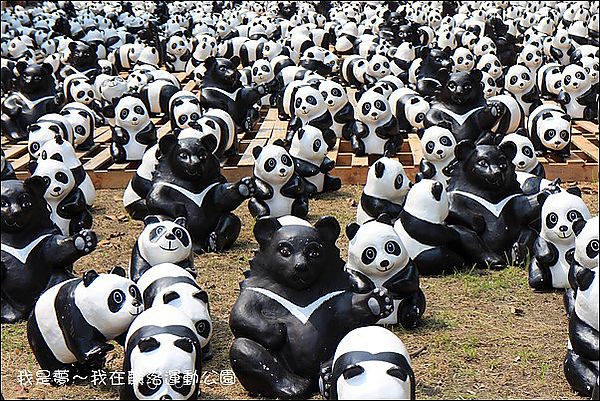 屏東麟洛運動公園貓熊05.jpg