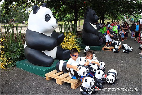 屏東麟洛運動公園貓熊12.jpg
