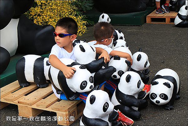 屏東麟洛運動公園貓熊11.jpg