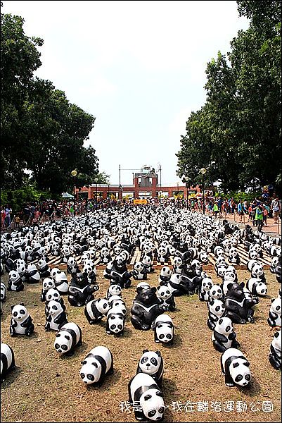 屏東麟洛運動公園貓熊04.jpg