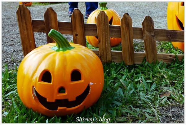 香港萬聖南瓜田(華山1914文化創意產業園區):華山創意園區‧香港萬聖南瓜田
