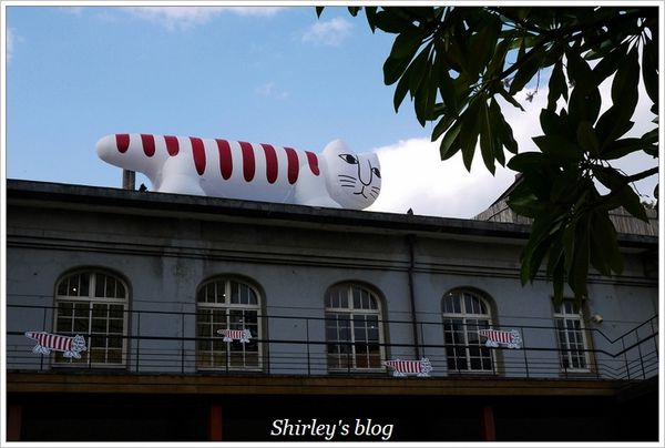 香港萬聖南瓜田(華山1914文化創意產業園區):華山創意園區‧香港萬聖南瓜田