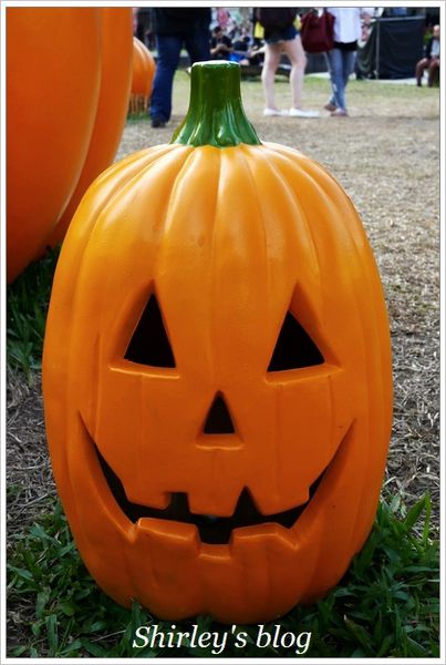 香港萬聖南瓜田(華山1914文化創意產業園區):華山創意園區‧香港萬聖南瓜田