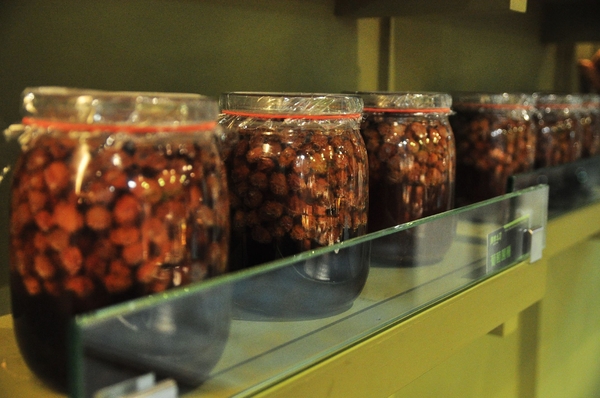 熊巴吐司：【高雄】高師大附近的台灣黑熊早午餐．熊巴吐司．桑尼瘦不了