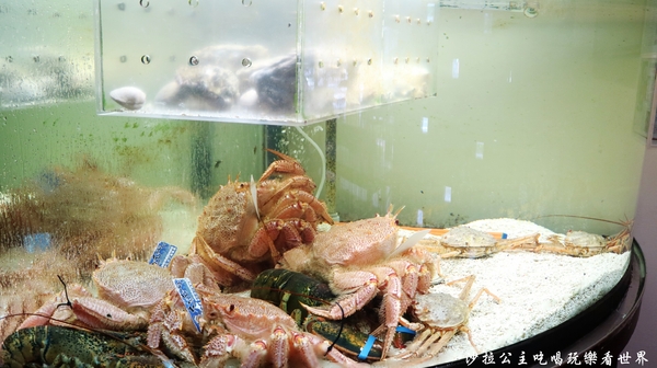 鼎膾一品涮涮鍋：台北內湖『鼎膾一品涮涮鍋』純種和牛買一送一/近國防醫學院旁