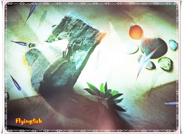 元璋玻璃科技館:✜ 有趣滴玻璃世界近距離接觸驚喜微旅行!-基隆「元璋玻璃科技館」◕‿◠。