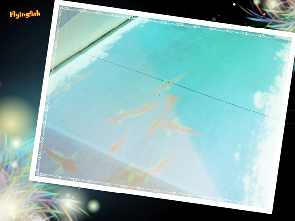 元璋玻璃科技館:✜ 有趣滴玻璃世界近距離接觸驚喜微旅行!-基隆「元璋玻璃科技館」◕‿◠。