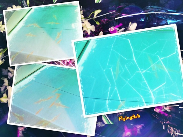 元璋玻璃科技館:✜ 有趣滴玻璃世界近距離接觸驚喜微旅行!-基隆「元璋玻璃科技館」◕‿◠。