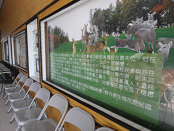 鹿世界觀光牧場：【彰化二林】火龍果的季節來臨了。鹿世界觀光牧場。與鹿的近距離接觸