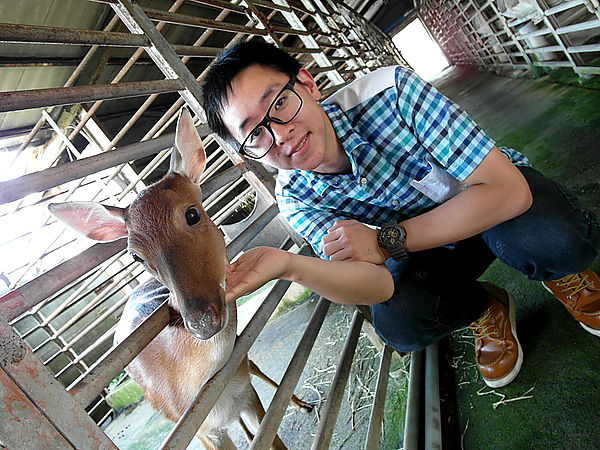 鹿世界觀光牧場：【彰化二林】火龍果的季節來臨了。鹿世界觀光牧場。與鹿的近距離接觸