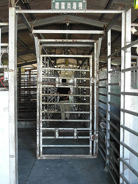 鹿世界觀光牧場：【彰化二林】火龍果的季節來臨了。鹿世界觀光牧場。與鹿的近距離接觸