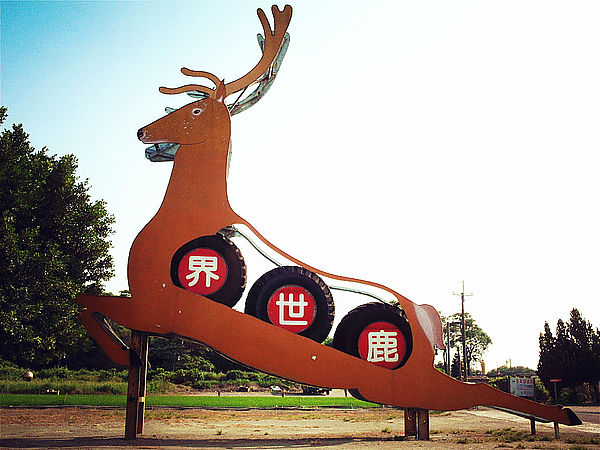 鹿世界觀光牧場：【彰化二林】火龍果的季節來臨了。鹿世界觀光牧場。與鹿的近距離接觸