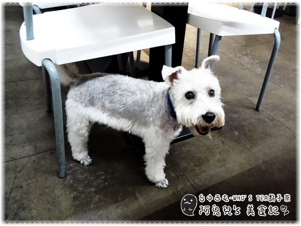 cm20150610___6a3f7bec3e6587e0566aef86e0e