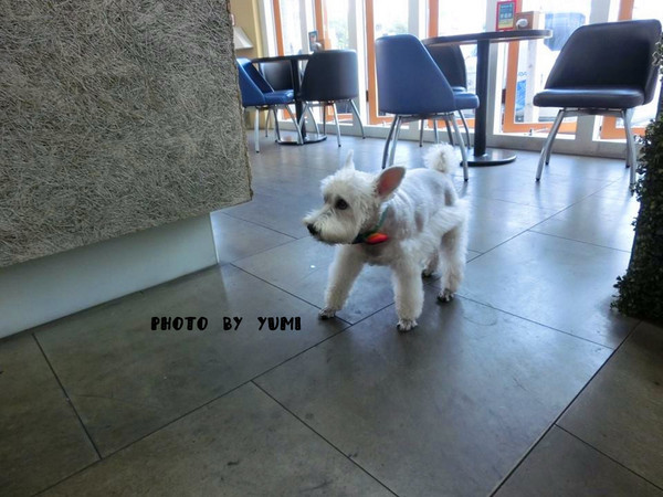 Who's tea 鬍子茶(逢甲店)：【口碑券§第69彈】逢甲商圈平價美食報你知!!美味義大利麵/帕里尼CP值爆表@Who's tea 鬍子茶(逢甲店)