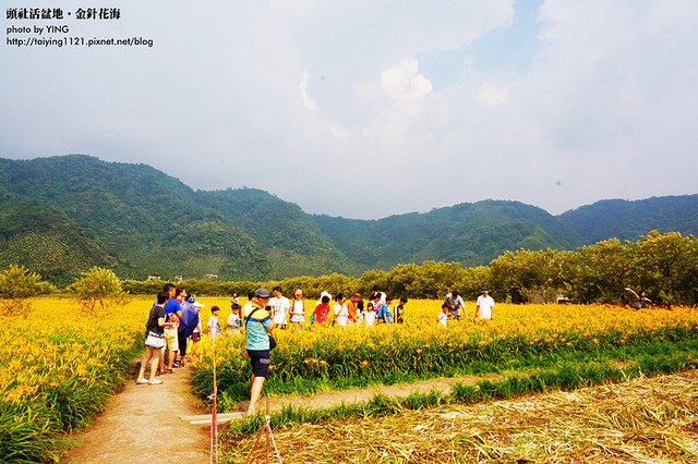 日月潭金針花海-頭社活盆地 (25)