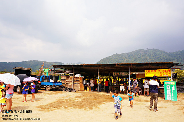 日月潭金針花海-頭社活盆地 (11)