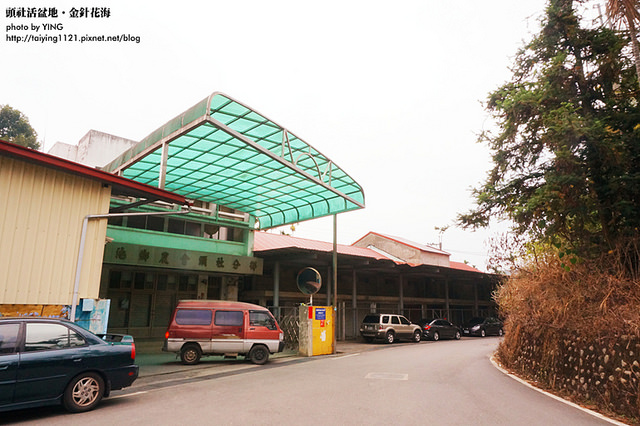 日月潭金針花海-頭社活盆地 (3)