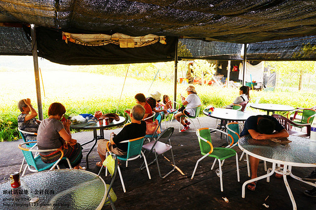 日月潭金針花海-頭社活盆地 (38)