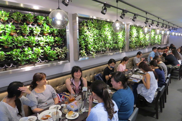 瓦法奇朵Waffogato(台北車站店):【台北市中正區】。瓦法奇朵 Waffogato 。上班族好去處!絕無僅有的安格斯牛排牛肉麵只要99元!