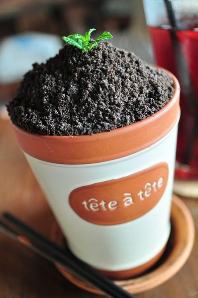 天生澳客:【高雄】天生澳客.來來來當澳客啦.桑尼瘦不了