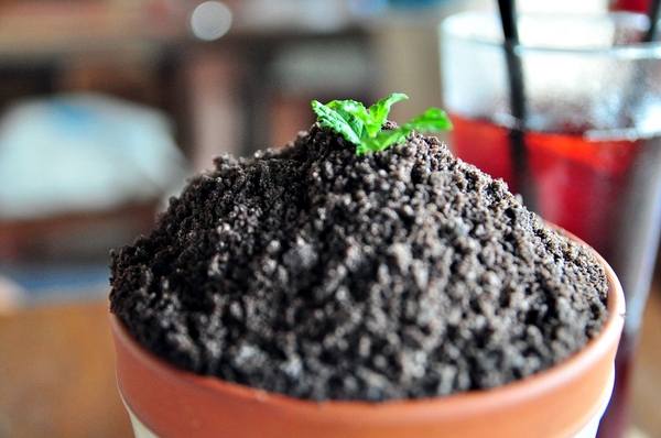 天生澳客:【高雄】天生澳客.來來來當澳客啦.桑尼瘦不了