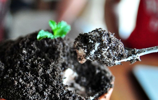 天生澳客:【高雄】天生澳客.來來來當澳客啦.桑尼瘦不了