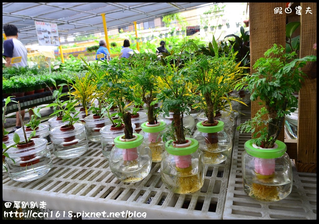 田尾趴趴走DSC_0392