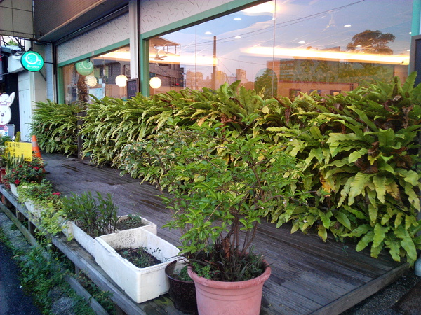 O2 Brunch & Café 歐圖早午餐咖啡廚房(新市南科店):【臺南Ω新市區】O2 Brunch & Café 歐圖早午餐咖啡廚房(新市南科店)。適合家庭、朋友聚餐的溫馨小天地