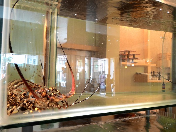 玄都日本料理:玄都日本料理- 新興區七賢二路28號