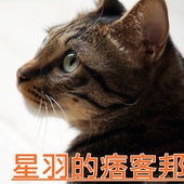 東海鮮魚道：※ 東海鮮魚道 ※【星羽愛美食-台中南屯】原喜多樂轉型平價丼飯，價格平實鮭魚軟嫩鮮美，用餐氣氛和附餐卻不得我們心~