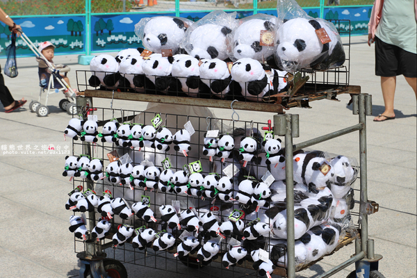 1600貓熊世界之旅-臺中國家歌劇院:1600貓熊世界之旅❤最終站♡臺中國家歌劇院~103.10.10-12