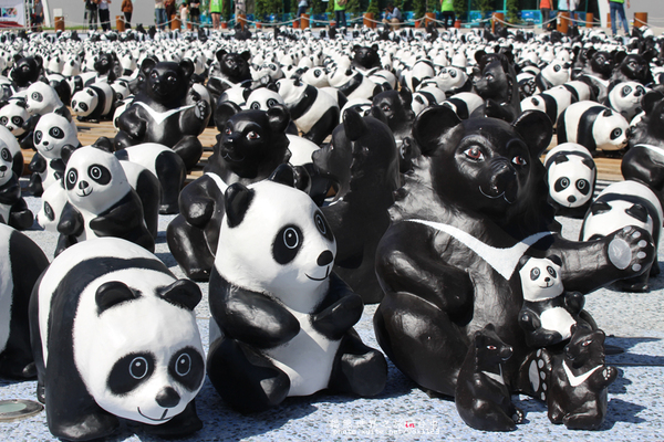 1600貓熊世界之旅-臺中國家歌劇院:1600貓熊世界之旅❤最終站♡臺中國家歌劇院~103.10.10-12