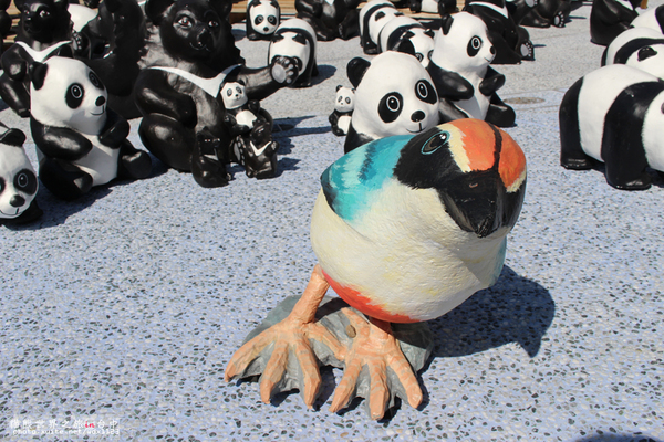 1600貓熊世界之旅-臺中國家歌劇院:1600貓熊世界之旅❤最終站♡臺中國家歌劇院~103.10.10-12