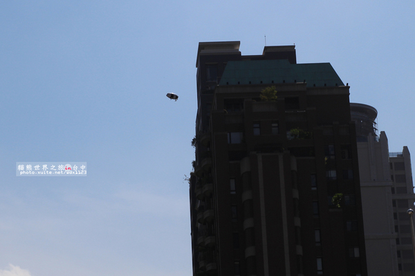 1600貓熊世界之旅-臺中國家歌劇院:1600貓熊世界之旅❤最終站♡臺中國家歌劇院~103.10.10-12