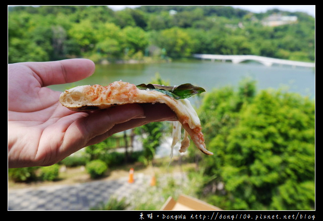 【新竹食記】青草湖野餐趣|手工窯烤拿坡里披薩|轉角726咖啡