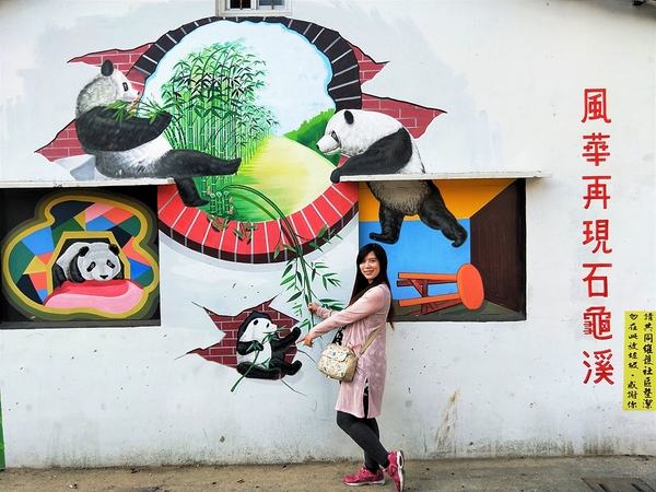 搶先曝光全台唯一3D貓熊彩繪村：【雲林斗南景點】石龜溪貓熊彩繪村~唯一以貓熊為主題的彩繪